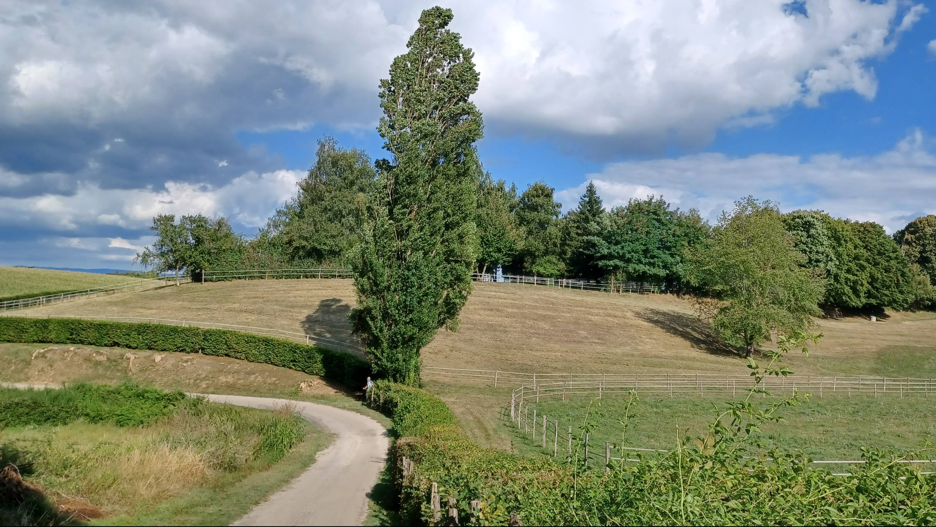 Оh souvenirs dété . Воспоминания о лете. Поёт Виктор Карасенко