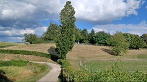 Оh souvenirs d'été . Воспоминания о лете. Поёт Виктор Карасенко