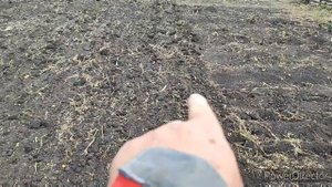 Подготовка земли к пахоте плугом мини трактором