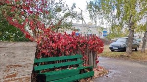 29-09-2025 дождливый день в деревне