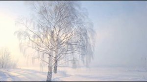 Серёжа Есенин - Белая берёза