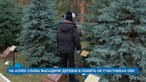 НА АЛЛЕЕ СЛАВЫ ВЫСАДИЛИ ДЕРЕВЬЯ В ПАМЯТЬ ОБ УЧАСТНИКАХ СВО
