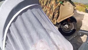 утро/день с двумя реборнами/прогулка/пополнение