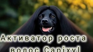 Капиксил