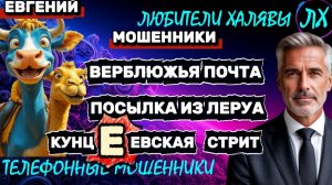 ✨ ЕВГЕНИЙ. ПОЗВОНИЛИ МОШЕННИКИ | ТЕЛЕФОННЫЕ МОШЕННИКИ