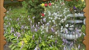 ПРОГУЛЯНКА  ДЕНДРОПАРКОМ   2025