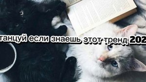 танцуй если знаешь этот тренд 2025