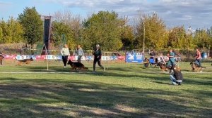 ЮНИОРЫ СУКИ ДШ / Кубок НКП РОСТОВ-НА-ДОНУ 28 сентября`25 Z.Najdovski, Е.Близнецова  Моно н/о