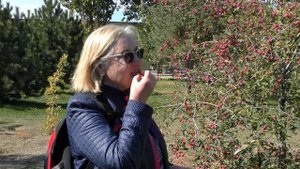 Волгоград Мамаев курган  29 сентября 2025