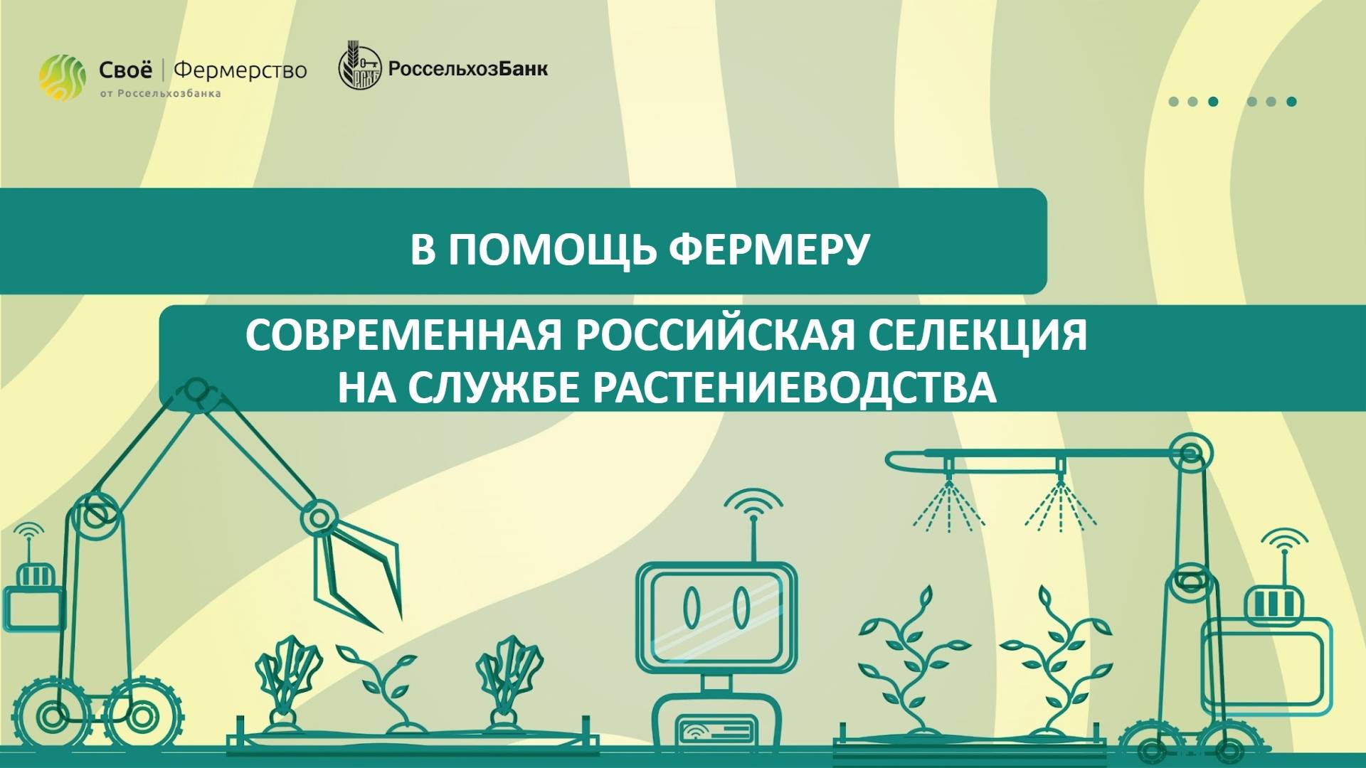 В помощь фермеру: современная российская селекция на службе растениеводства