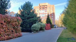 Осень 2025 год