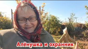 Мы и дача. Он с лопатой - я с вилкой, он носит - я считаю.