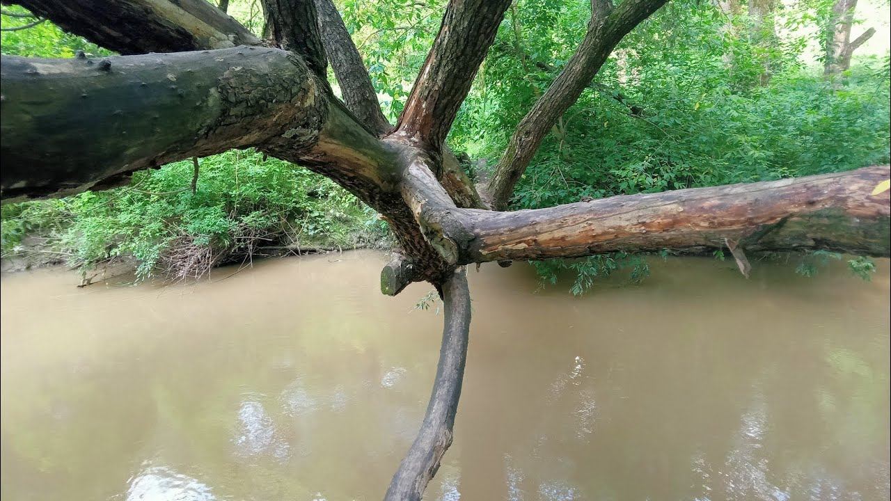 Мормо Разведка на "Московской Амазонке" смотреть онлайн