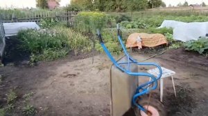 Некогда снимать, работаю. Надеюсь скоро буду исправляться. Огород в июле.