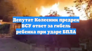Депутат Колесник предрек ВСУ ответ за гибель ребенка при ударе БПЛА