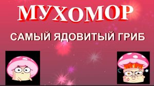 Слайд--шоу. Мухомор - ядовитый гриб