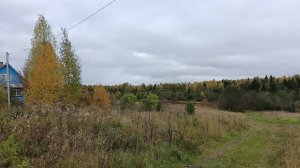 Поездка в Русскую деревню.Лучше отдыха не придумать .