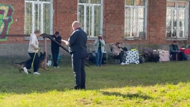 1 Отл. КЧК ЭРИКА 2 из Белого Яра +++ №21. ИЖЕВСК 14 сентября`25 Моно немецких овчарок