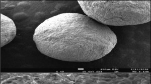 Оптимизация и оценка мукоадгезивных матричных гранул лизиноприла с замедленным высвобождением