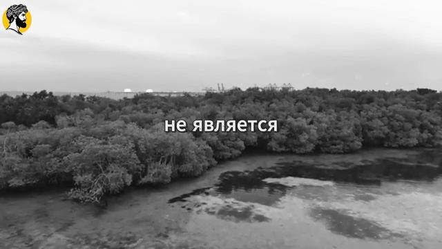 (59 УРОК) Как женщины по-настоящему влюбляются — обязательно к просмотру всем мужчинам   СТОИЦИЗМ