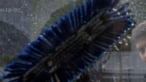 Как использовать щётки для мойки окон