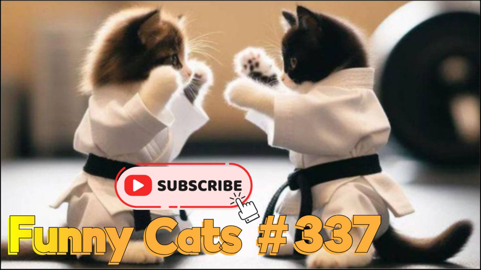 Смешные коты #337