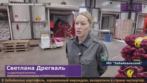 Картофель, зараженный карантинным вироидом, возвращен стране-экспортеру