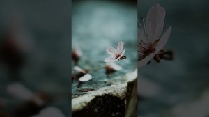 Ты пожалеешь, знаю я