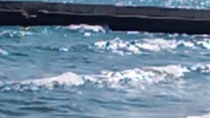 VID_20250928_120728.mp4