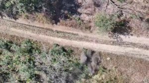 Смерть подкралась с неба!