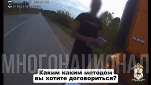 В Нижегородской области мигрант пытался дать взятку сотруднику ДПС положив в путевой лист 2000 руб