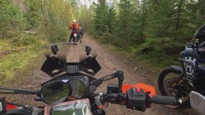 #96-3 Off-road Орехово - Ладога | KTM | Kove | BMW | Voge | GR500 | Husqvarna  | CF-Moto | Honda