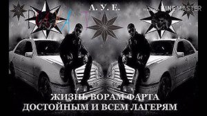 контент на пафоса