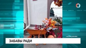 Забавы ради