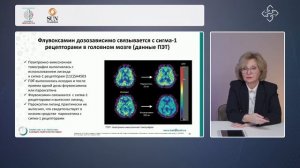 Доклад Соловьевой Э.Ю. «Лечение тревожных расстройств»
