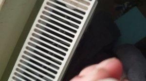 2025-09-29  Через три дня приехали на дачу, а маленькая бесхвостая ящерка сидит на пороге.