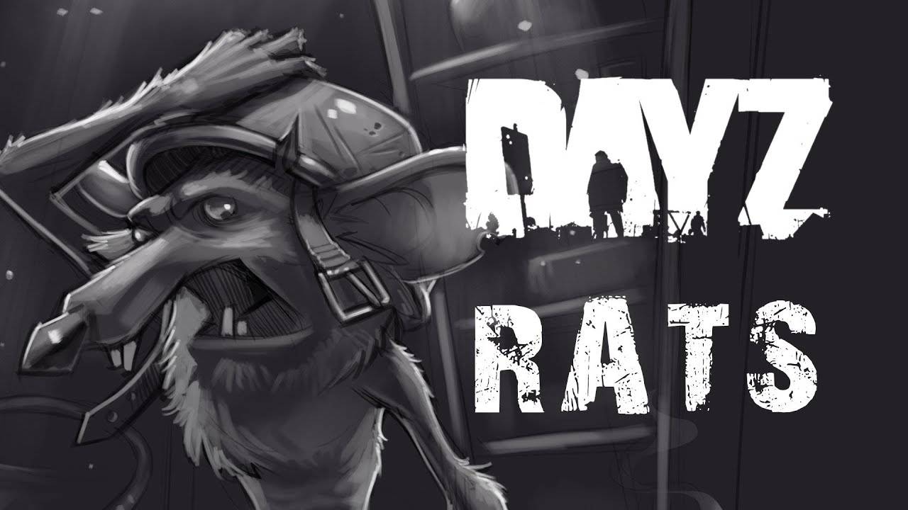 Dayz. Гайд по не читаемым позициям в Электрозаводске.Сервер Russian Classic...