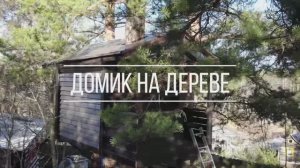 ДОМ НА ДЕРЕВЕ для ребенка: как построить своими руками