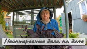 Неинтересные дела на даче
