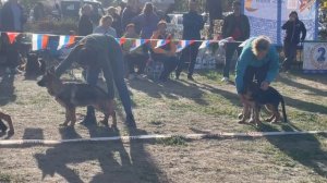 Группа производителя Зорге ф. Фростен / Кубок НКП РОСТОВ-НА-ДОНУ 28 сентября`25 Моно н/о