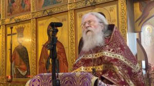 Что есть человек? Что есть Сын Человеческий? Проповедь на Евангельские чтения Мк. и Мф. 28.09.2025