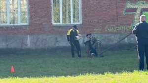 1 Отл. Бисхоф ДЖИКХАН +++ №26. ИЖЕВСК 14 сентября`25 Моно немецких овчарок