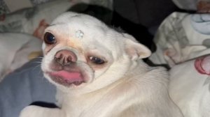 Всем наидобрейшего утречка и прекрасного начала дня.