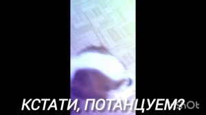 Белла и пуша