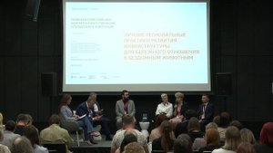 Лучшие региональные практики развития инфраструктуры для бережного отношения к бездомным животным