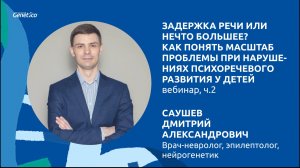 Вебинар  с Д.А.Саушевым ч.2