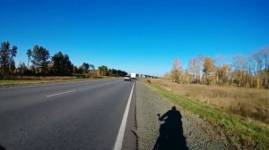 Еду домой. Находки на обочинах трассы. Разговор про медведя. Сейчас актуальная тема.