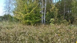 Бессоново, Ракитная