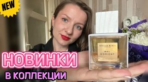 ЧТО НОВОГО? Новые ароматы на полке💫❤️