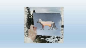 Не скучные каникулы "Фотоохота"